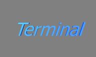 Terminal